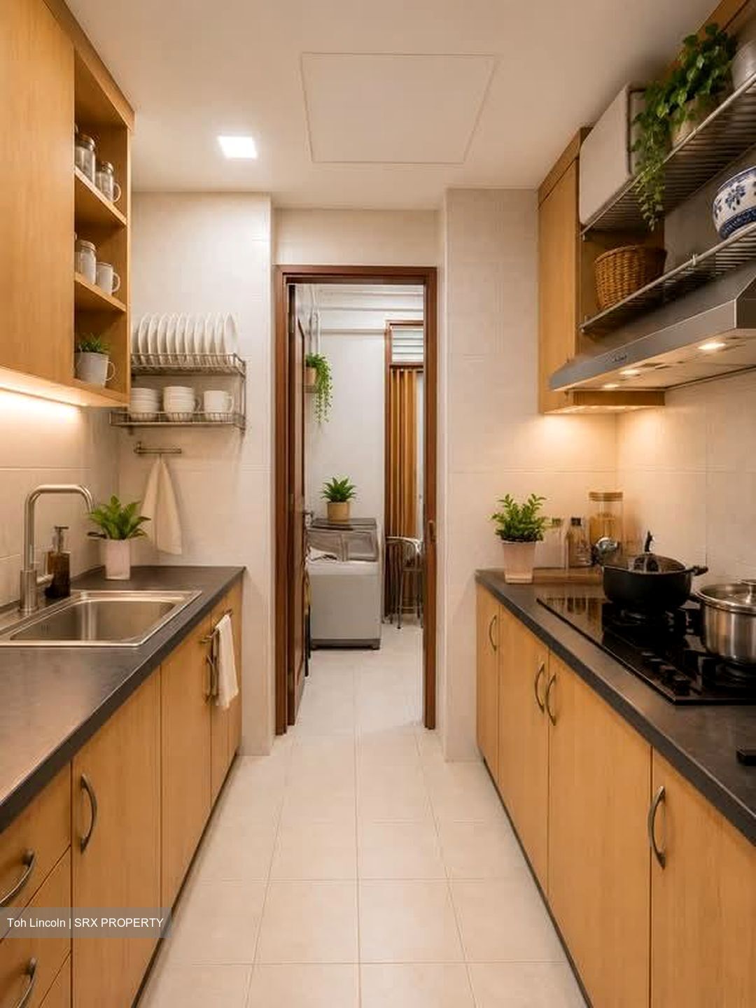 Tanglin View (D3), Condominium #595870281